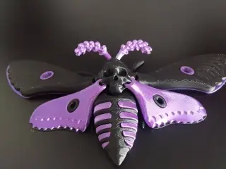 Dead head moth (artiulated)