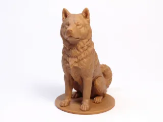 Akita Dog