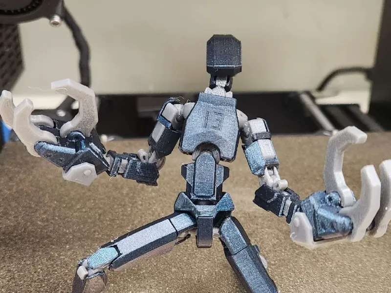 Claws For Dummy 13