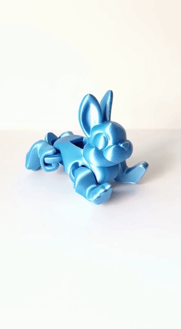 キュートなフレキシラビット
