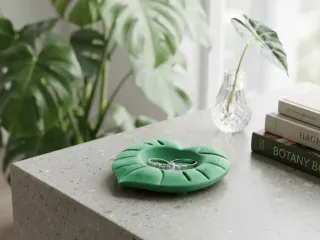 monstera k2plus