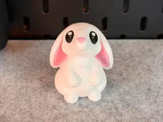 Cute Bunny