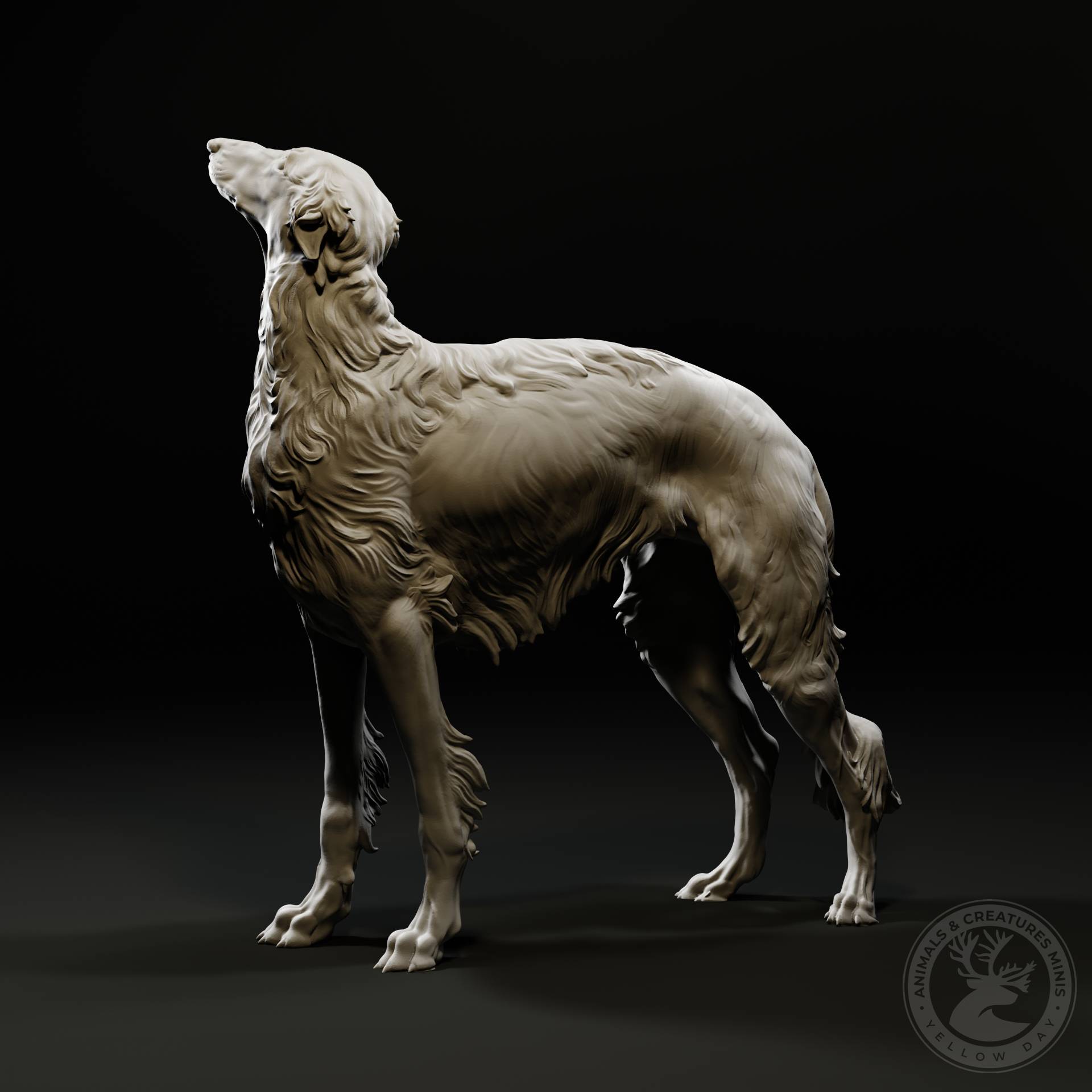 Borzoi