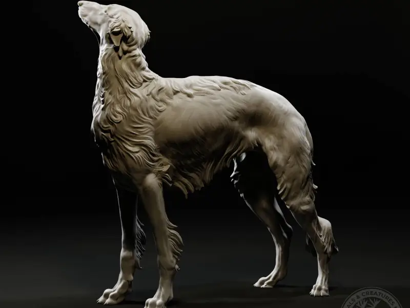 Borzoi