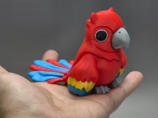 金刚鹦鹉