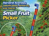 Small fruit picker-0