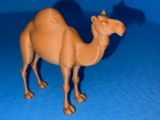 camel