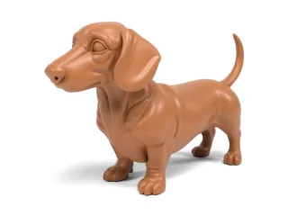 Dachshund 2