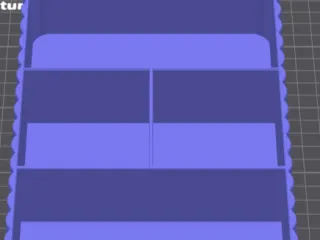 organizador