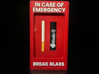 In Case of Emergency: Cigarette & Lighter Edition