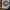 Cornice – Decorazione Inter Milan
