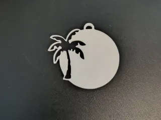 chaveiro palmeira limpo/praia grande