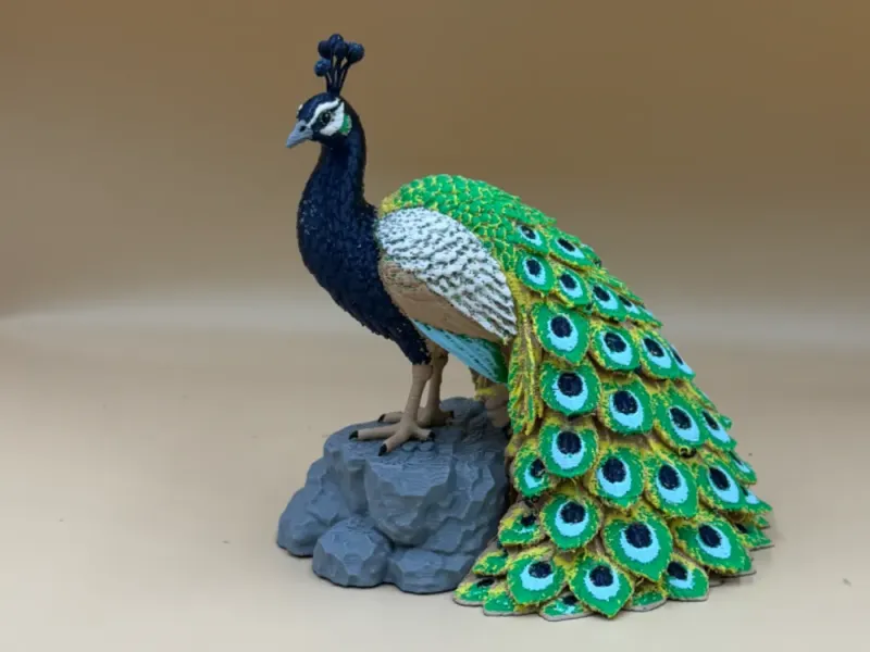 Pavão multicolorido