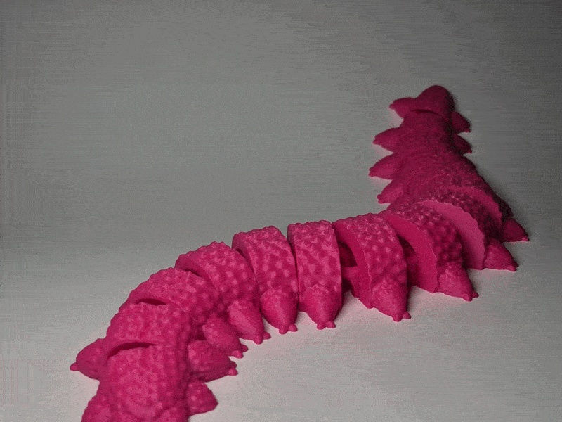 Articulated Peripatus Worm!
