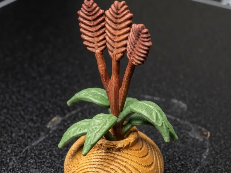 Miniature terrain Vasija_Planta_1