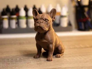 French Bulldog 2