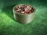 Pepper Pot-0