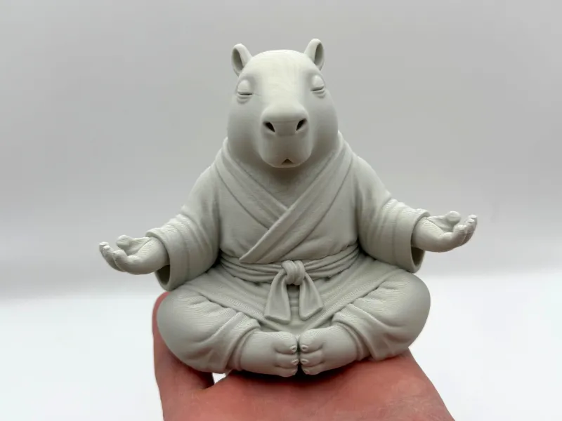 Meditating Capybara Monk