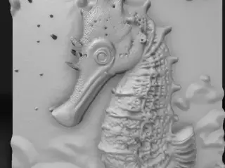 sea ​​horse