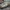 Chevrolet Lumina SS - ZA version 2010