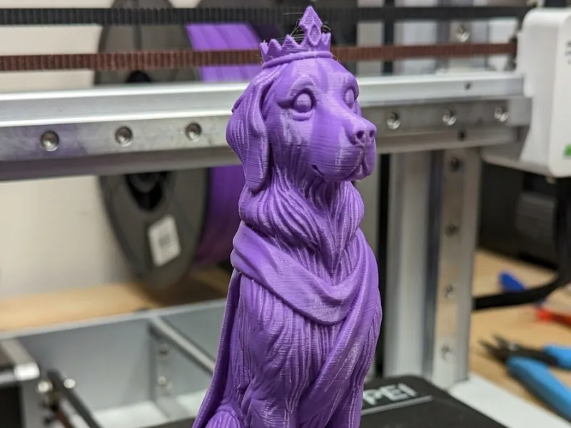 Dogsreine1