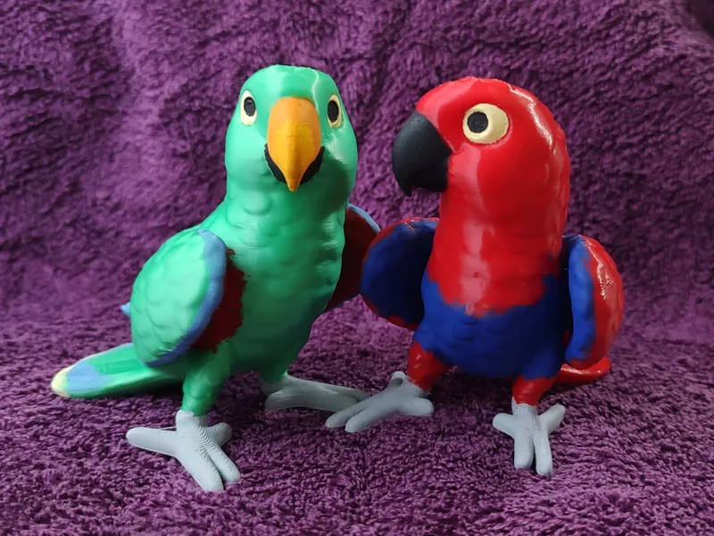 Eclectus