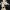 Skeleton Violinist — Bow-in-Hand Figure