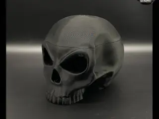 Skull Container Box 💀