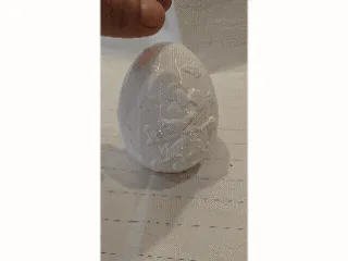 mouse egg