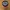 Harley Davidson Dosendeckel 330ml/500ml Drink