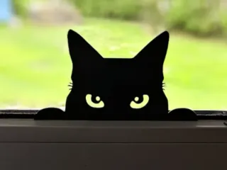 Cat Window