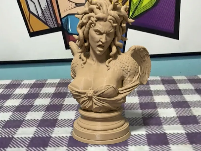 Medusa Bust