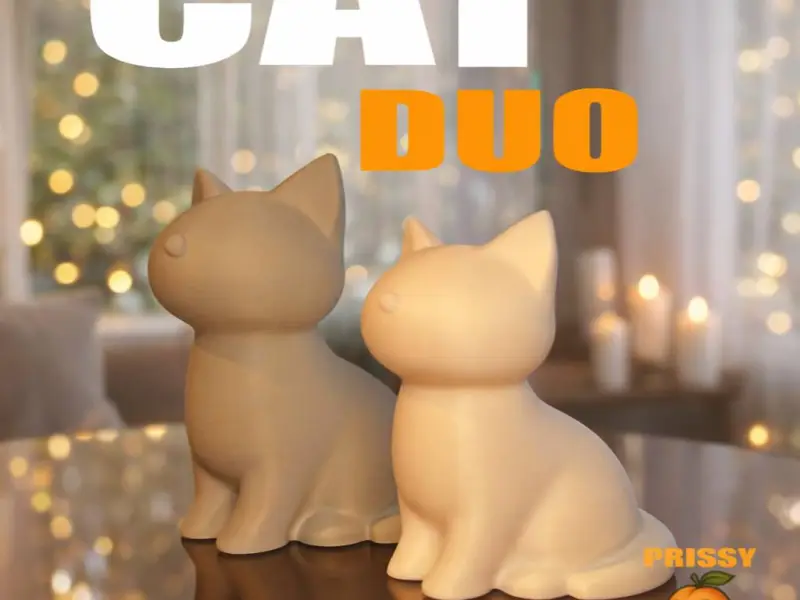 Aesthetic Cat Duo Decor