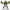Shrek – Figura 3D