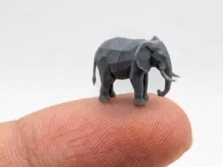 The smallest elephant in the world