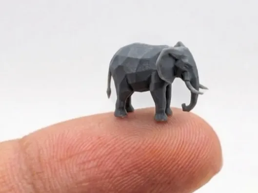 Le plus petit éléphant du monde