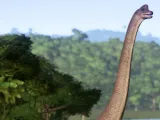 Bronto-0