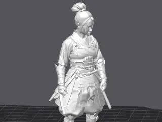 Samurai girl
