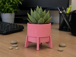 Flower Pot