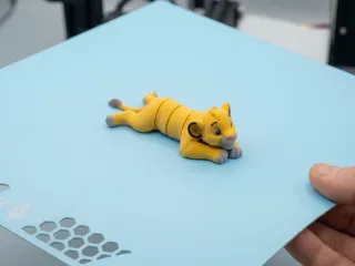 Cute Fidget Lion