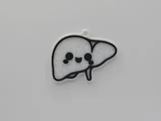 Cute Anatomical Liver Keychain