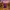 Fortnite Lego King Sprite Mini Fig (8)