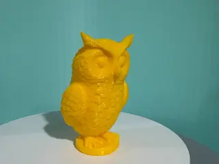 owl model