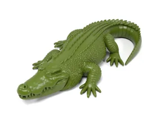Crocodile