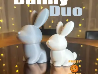 AESTHETIC Cute Bunny Duo Decor