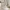 Veiled Ghost Girl Statue – Ethereal Phantom 3D Print