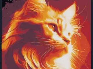 Interesting cat portrait
