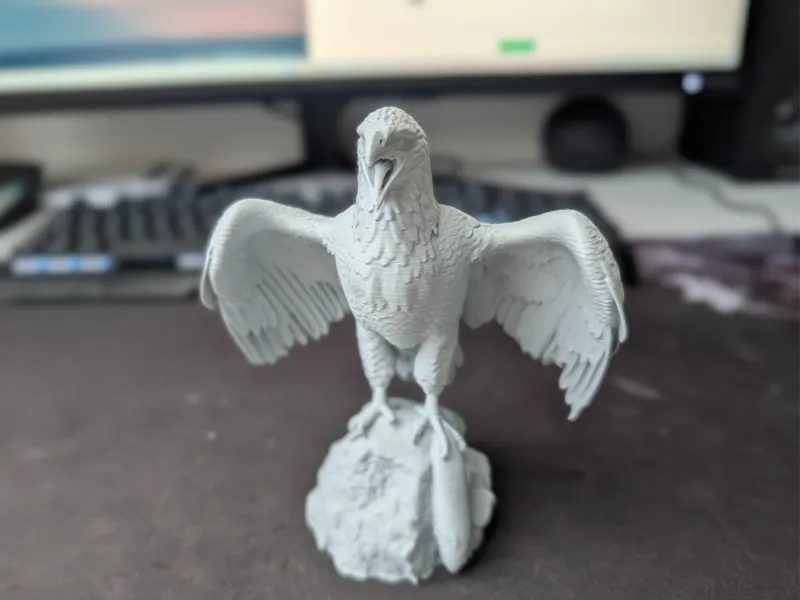 # Sea Eagle on a Rock – Detailed Model for Painting