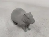 two-tail-capibara-0