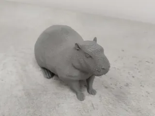 two-tail-capibara